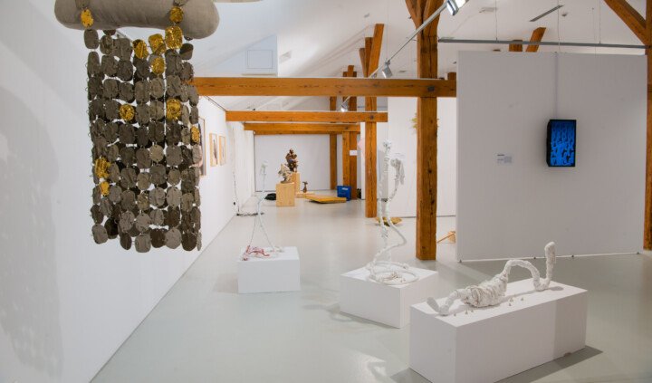 Biennale Sztuki Młodych Rybie Oko 10