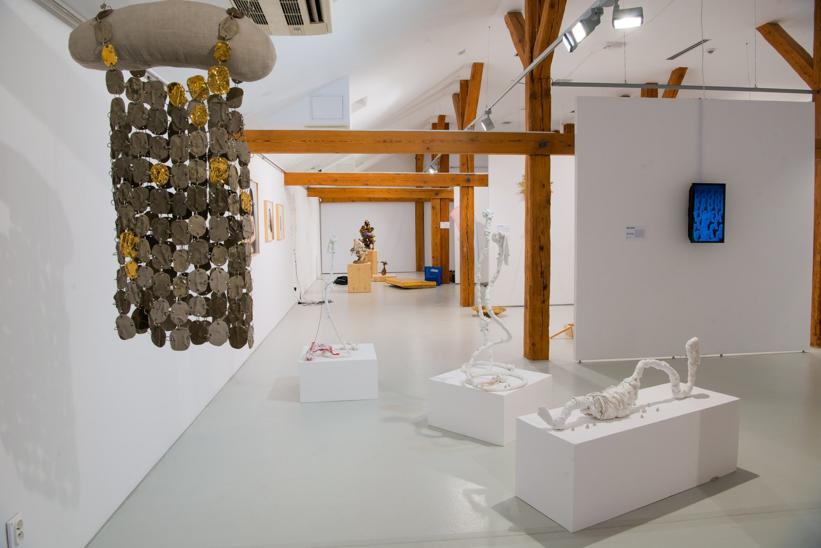 Biennale Sztuki Młodych Rybie Oko 10