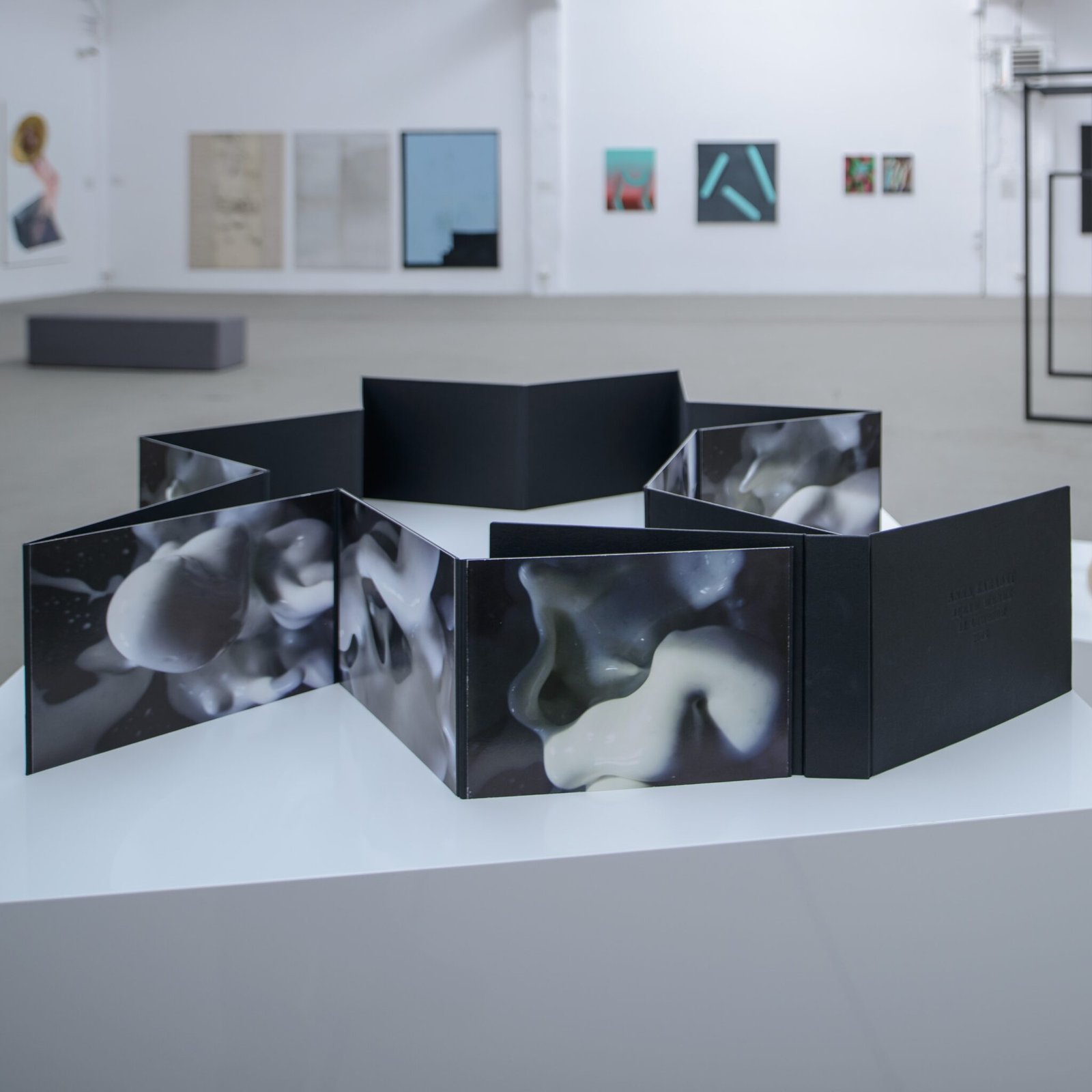 Dłubak x Zaradny: non finito