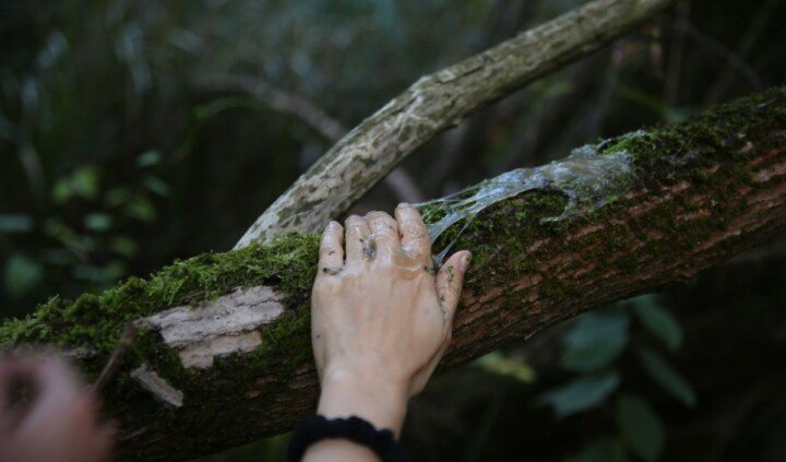 Czy złożyłabyś tu jaja?