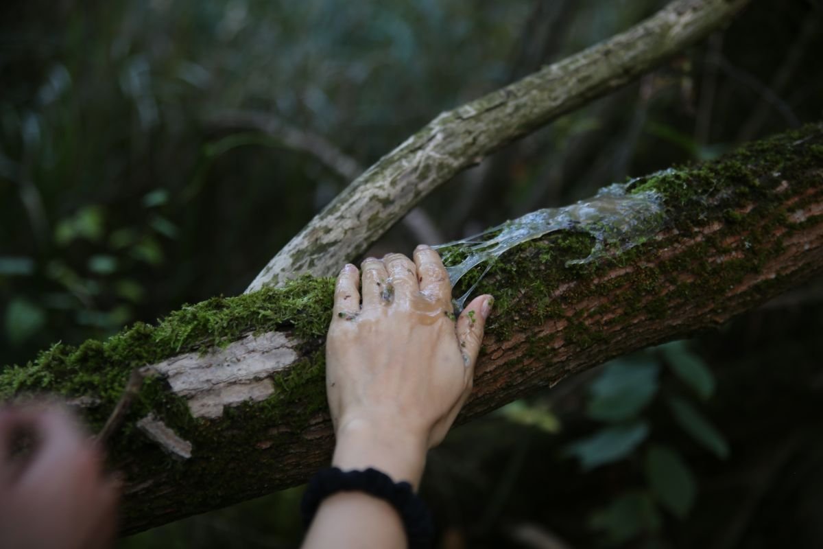 Czy złożyłabyś tu jaja?