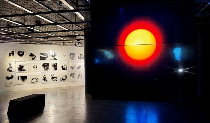 Czerwona plamka infusorium