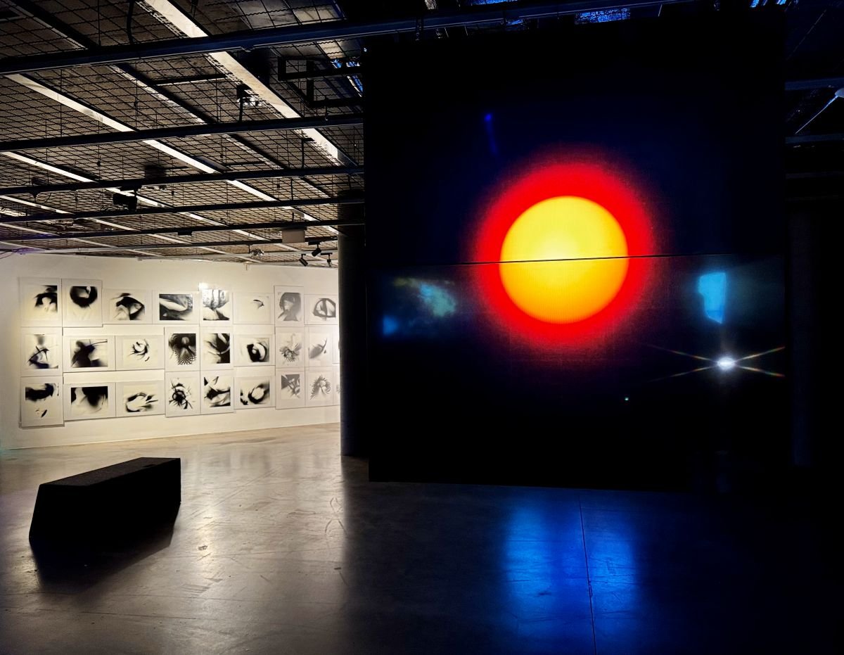 Czerwona plamka infusorium