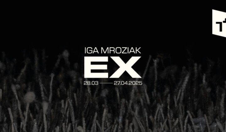 EX. Iga Mroziak
