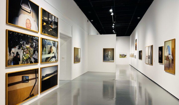 Oczy moje zwodzą pszczoły