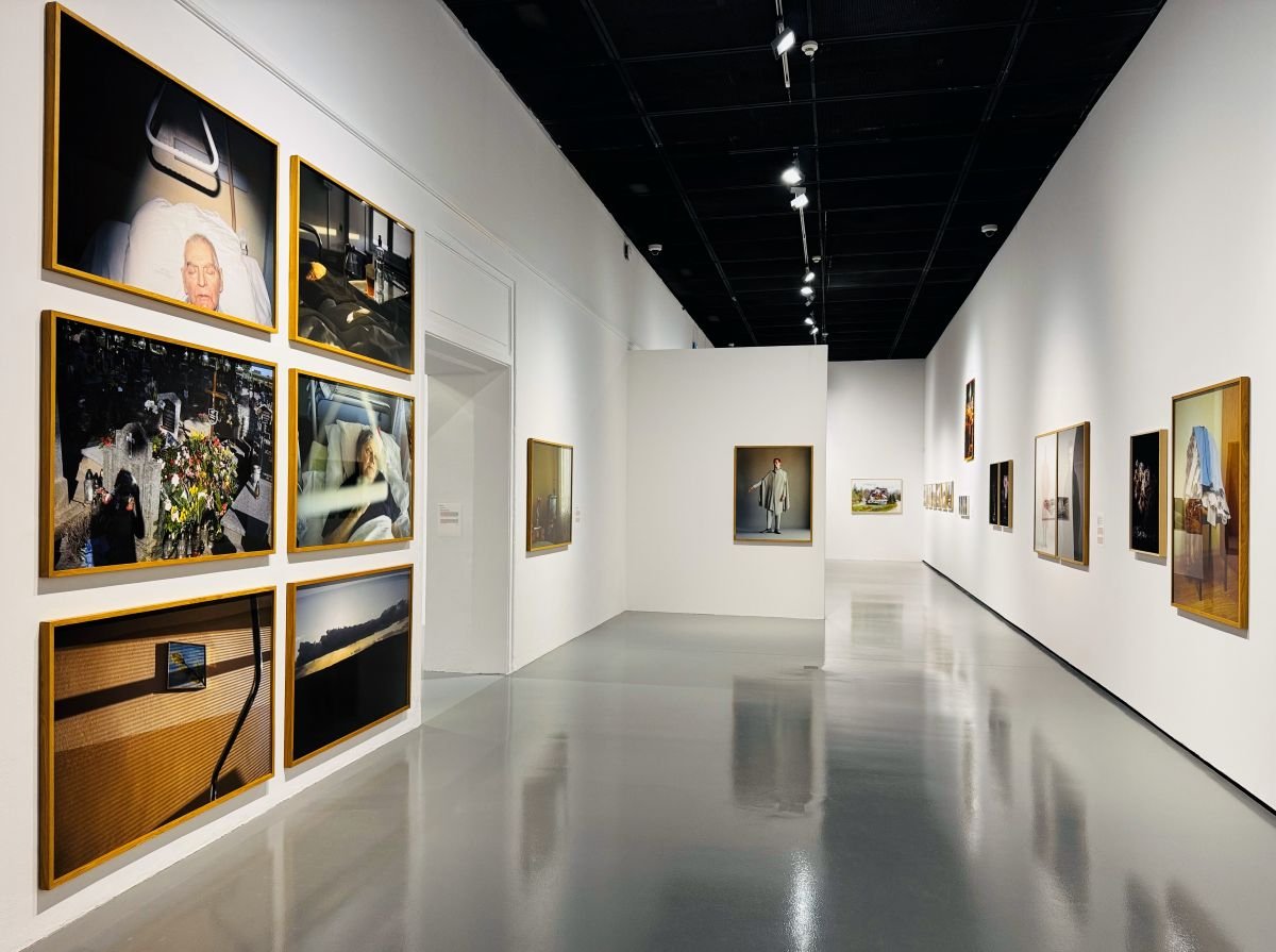 Oczy moje zwodzą pszczoły