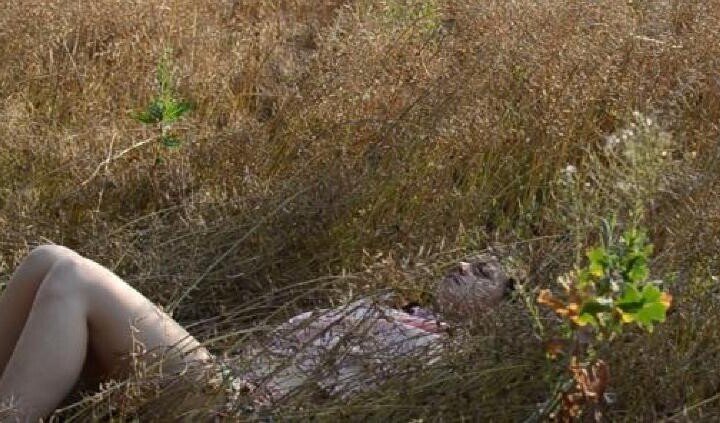 Wspólny krajobraz / Powitanie obcego