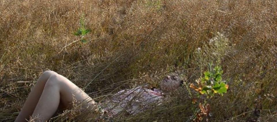 Wspólny krajobraz / Powitanie obcego