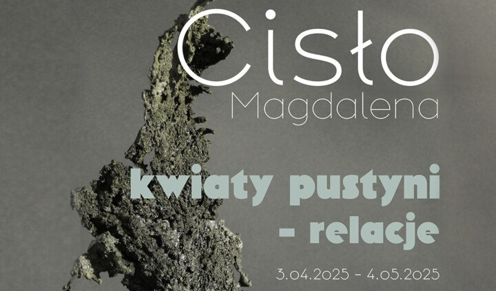 Kwiaty pustyni – relacje