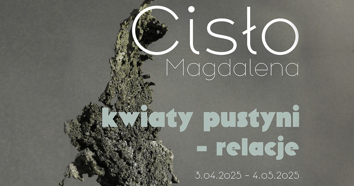 Kwiaty pustyni – relacje