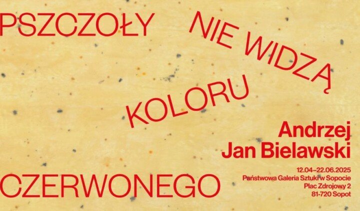 Pszczoły nie widzą koloru czerwonego