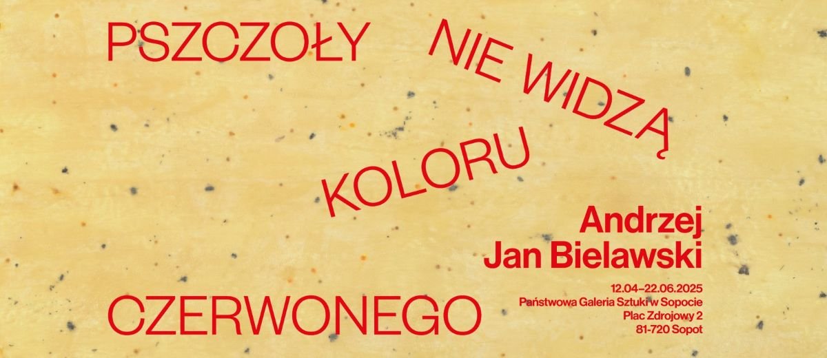Pszczoły nie widzą koloru czerwonego