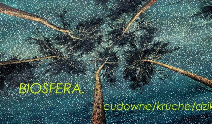 Biosfera – cudowne/kruche/dzikie