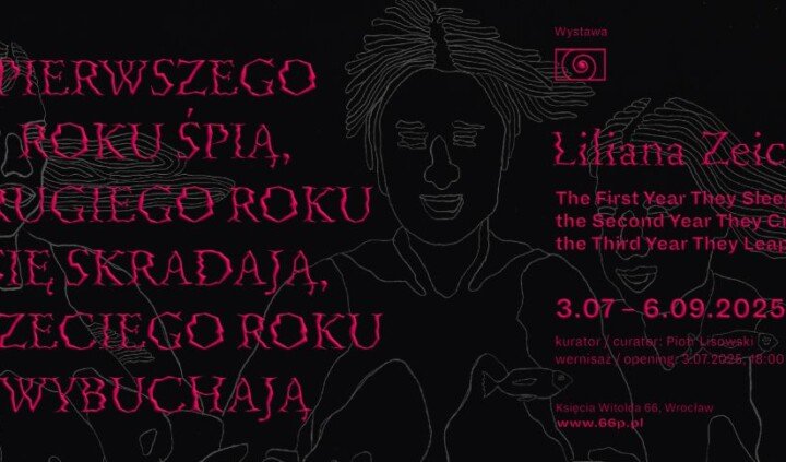 Pierwszego roku śpią, drugiego roku.. Liliana Zeic