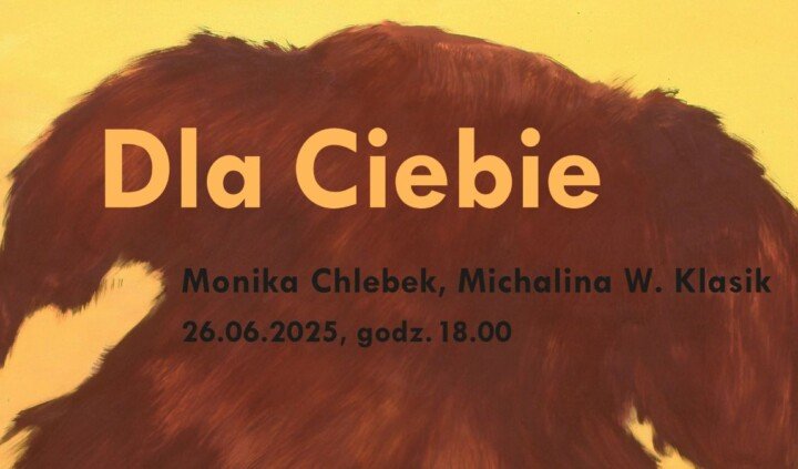 Dla Ciebie. Monika Chlebek/Michalina Klasik