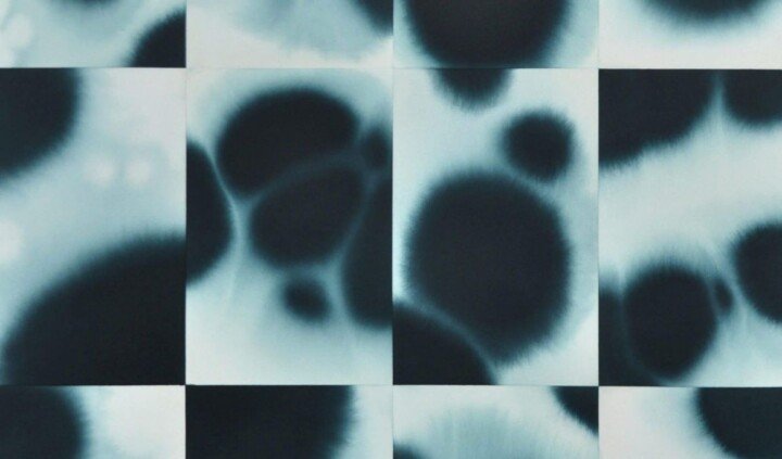 Podzielone przez dzielenie. Małgorzata Szymankiewicz