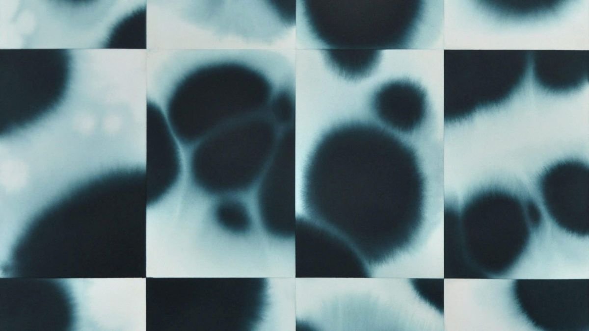 Podzielone przez dzielenie. Małgorzata Szymankiewicz