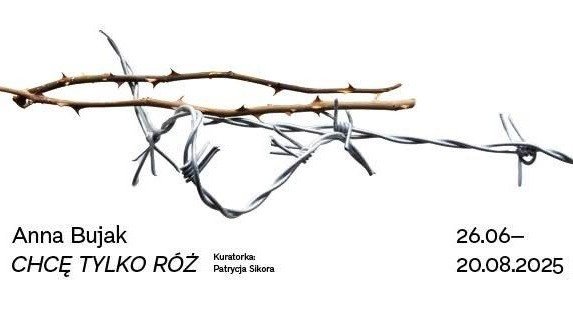 Chcę tylko róż. Anna Bujak