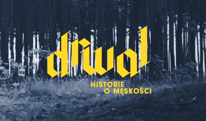Drwal. Historie o męskości