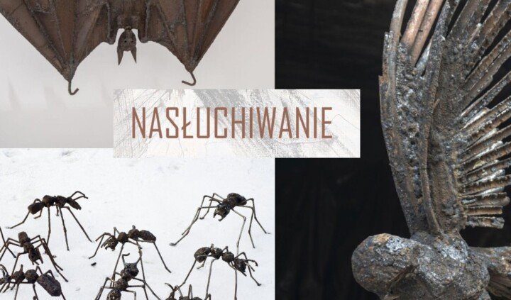 Nasłuchiwanie. Mariola Wawrzusiak, Beata Zuba