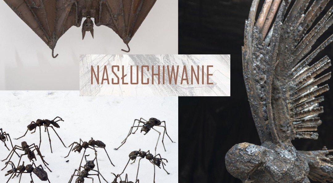 Nasłuchiwanie. Mariola Wawrzusiak, Beata Zuba