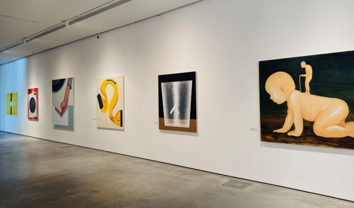 Dom dzienny, dom nocny. Prace z kolekcji Radosława Kotarskiego