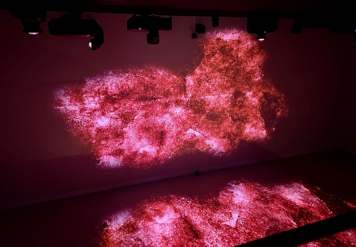 Momentum. Doświadczenie immersyjne