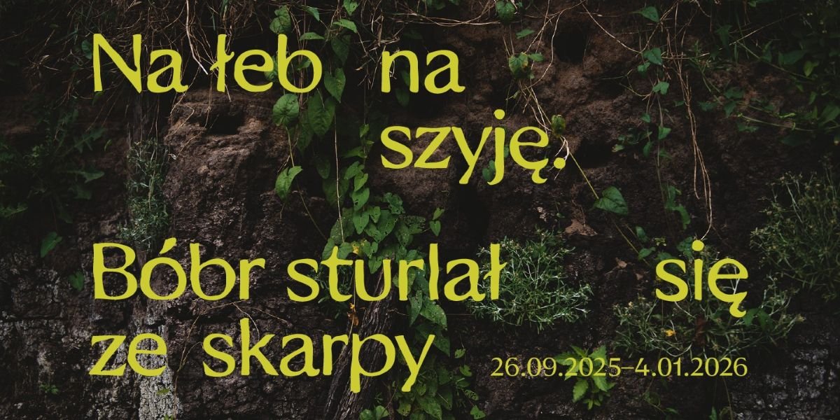 Na łeb na szyję. Bóbr sturlał się ze skarpy