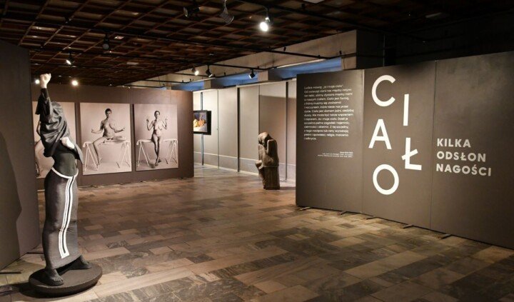 Ciało. Kilka odsłon nagości