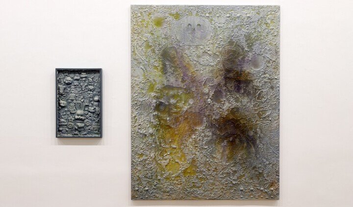 Ektoplazma. Marta Antoniak