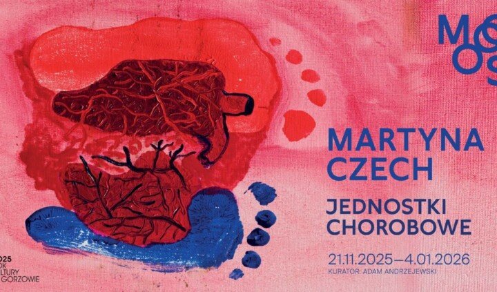 Martyna Czech. Jednostki chorobowe