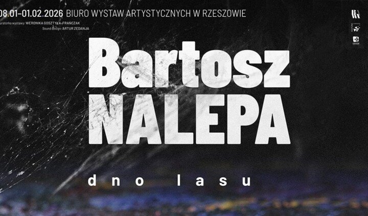 Bartosz Nalepa. Dno lasu
