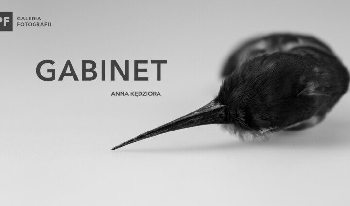 Gabinet. Anna Kędziora