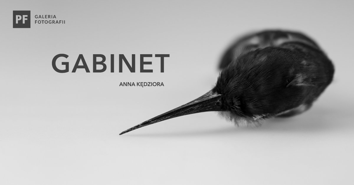 Gabinet. Anna Kędziora