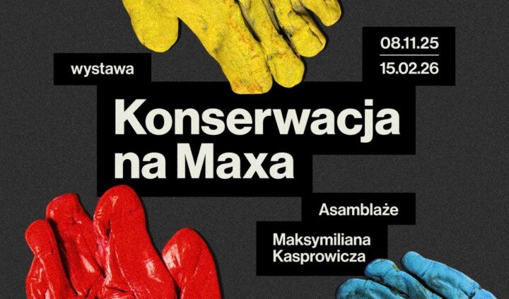 Konserwacja na Maxa