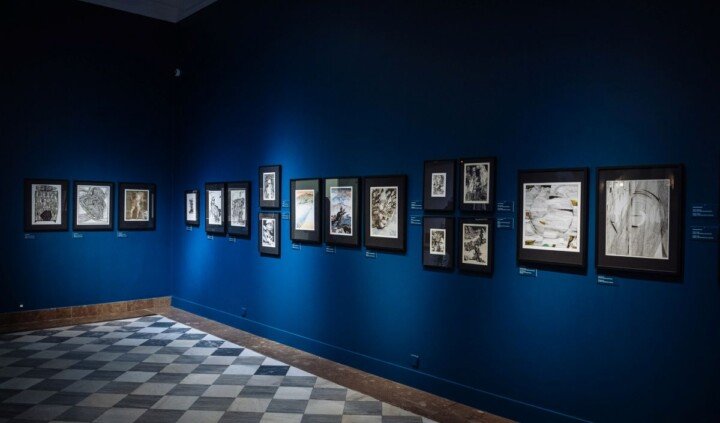 Franciszek Bunsch. Odyseja