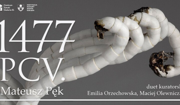 1477 PCV. Mateusz Pęk