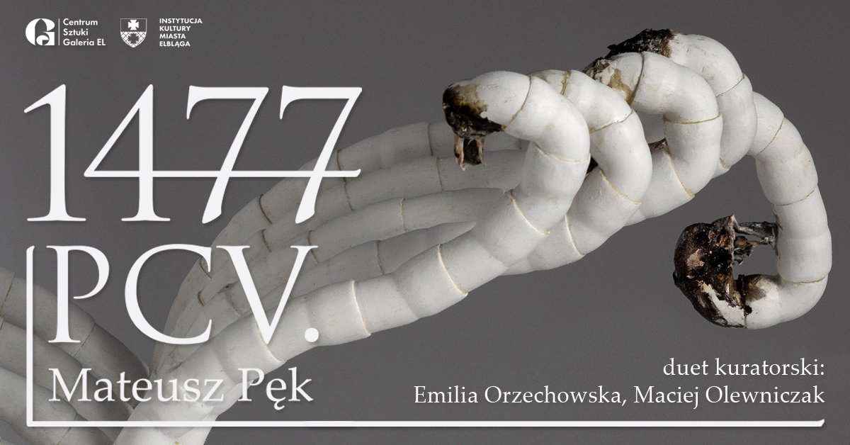 1477 PCV. Mateusz Pęk