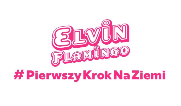 #PierwszyKrokNaZiemi. Elvin Flamingo