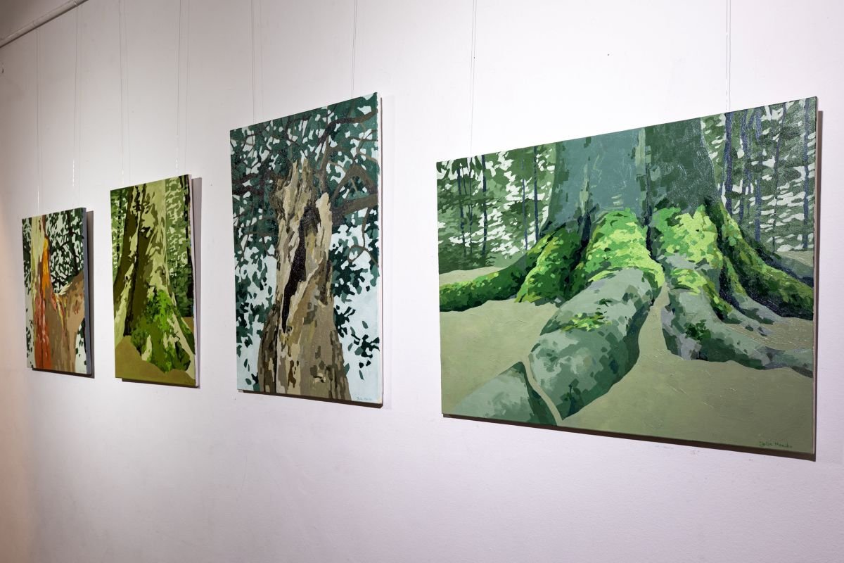 Portret drzew. Julia Tryczyńska