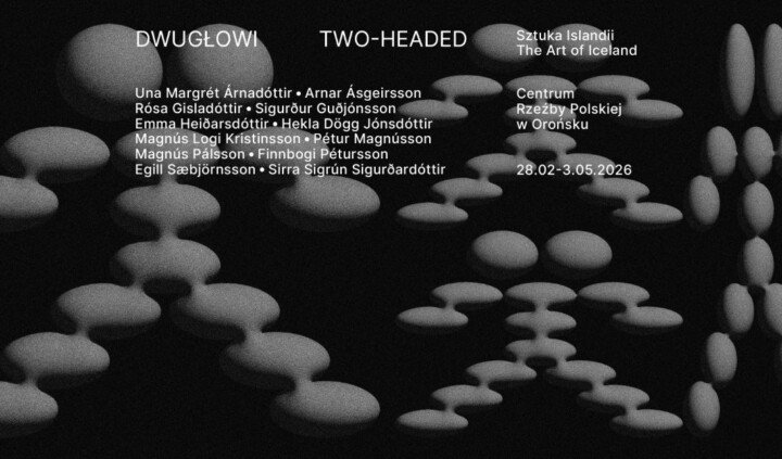 Dwugłowi. Sztuka Islandii