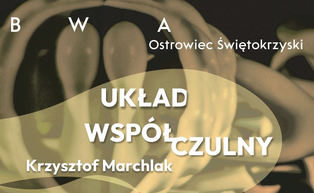 Krzysztof Marchlak. Układ współczulny