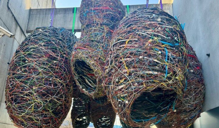 Katarzyna Krakowiak-Bałka. Ekologie współtworzenia